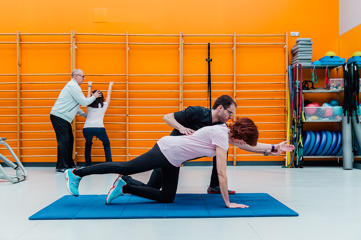 Ergoactiv espalda activa pro